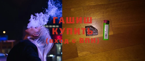 шишки Сосновый Бор
